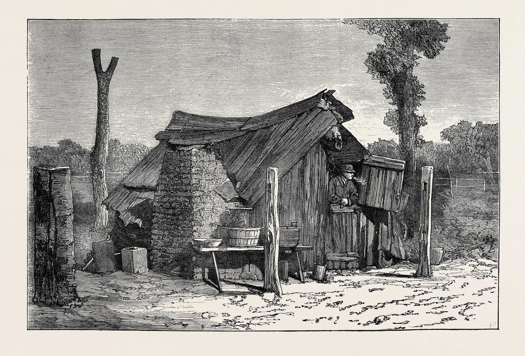Detail of Sketches from Australia in Relation to the Tichborne Case: Hut in which the Claimant is Said to Have Lived at Wagga Wagga by Anonymous