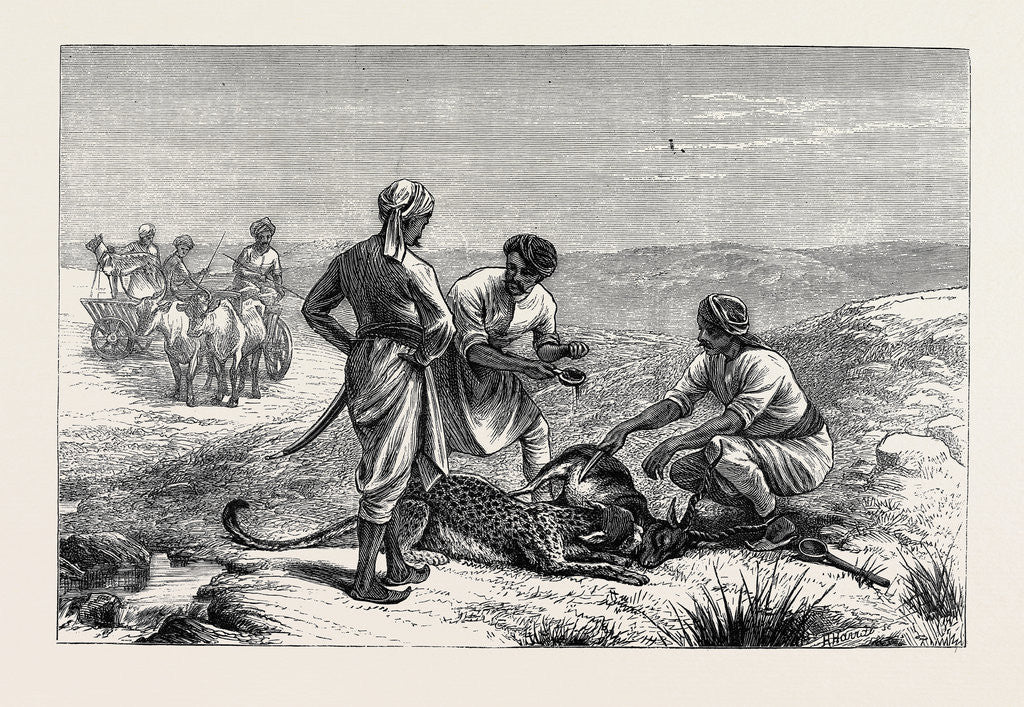Detail of Sketches from India, Antelope Hunting: Caught by Anonymous