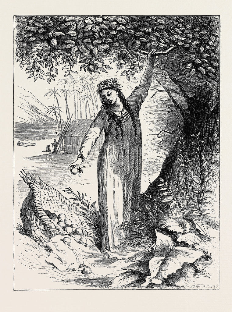 Detail of Tahiti Girl Gathering Oranges by Anonymous