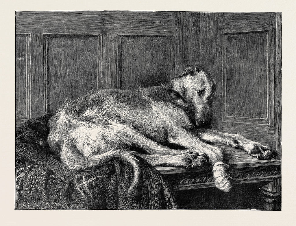 Detail of Much Ado About Nothing, in the Dudley Gallery by Anonymous