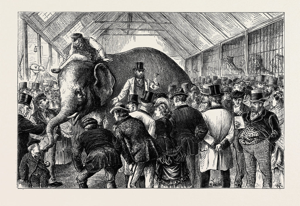 Detail of The Sale of a Menagerie: Knocking Down the Elephant by Anonymous