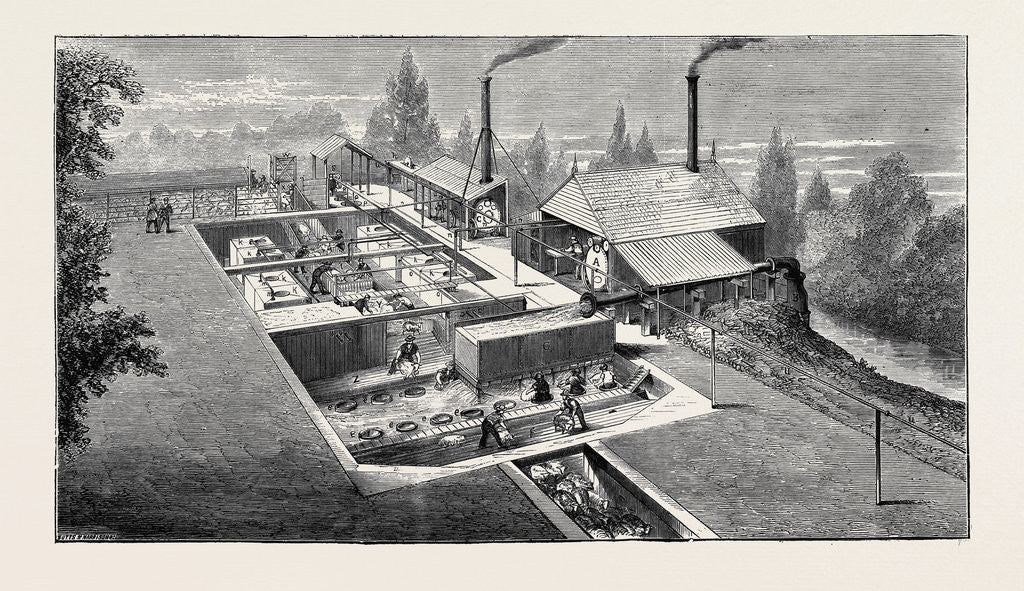 Detail of The New Plan of Sheepwashing by Anonymous