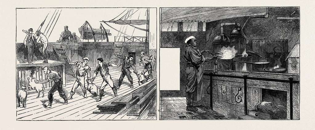 Detail of On Board the Indus Emigrant Ship: Live Provisions, the Galley and the Cook by Anonymous
