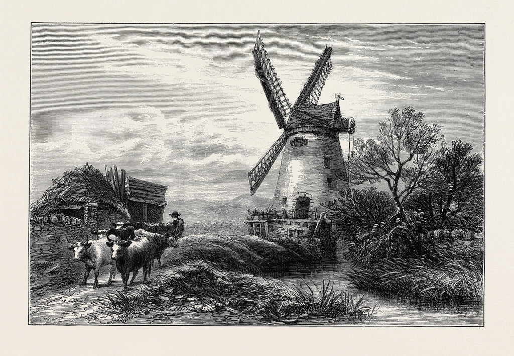 Detail of Old Mill at Ty Cross, North Wales by Anonymous