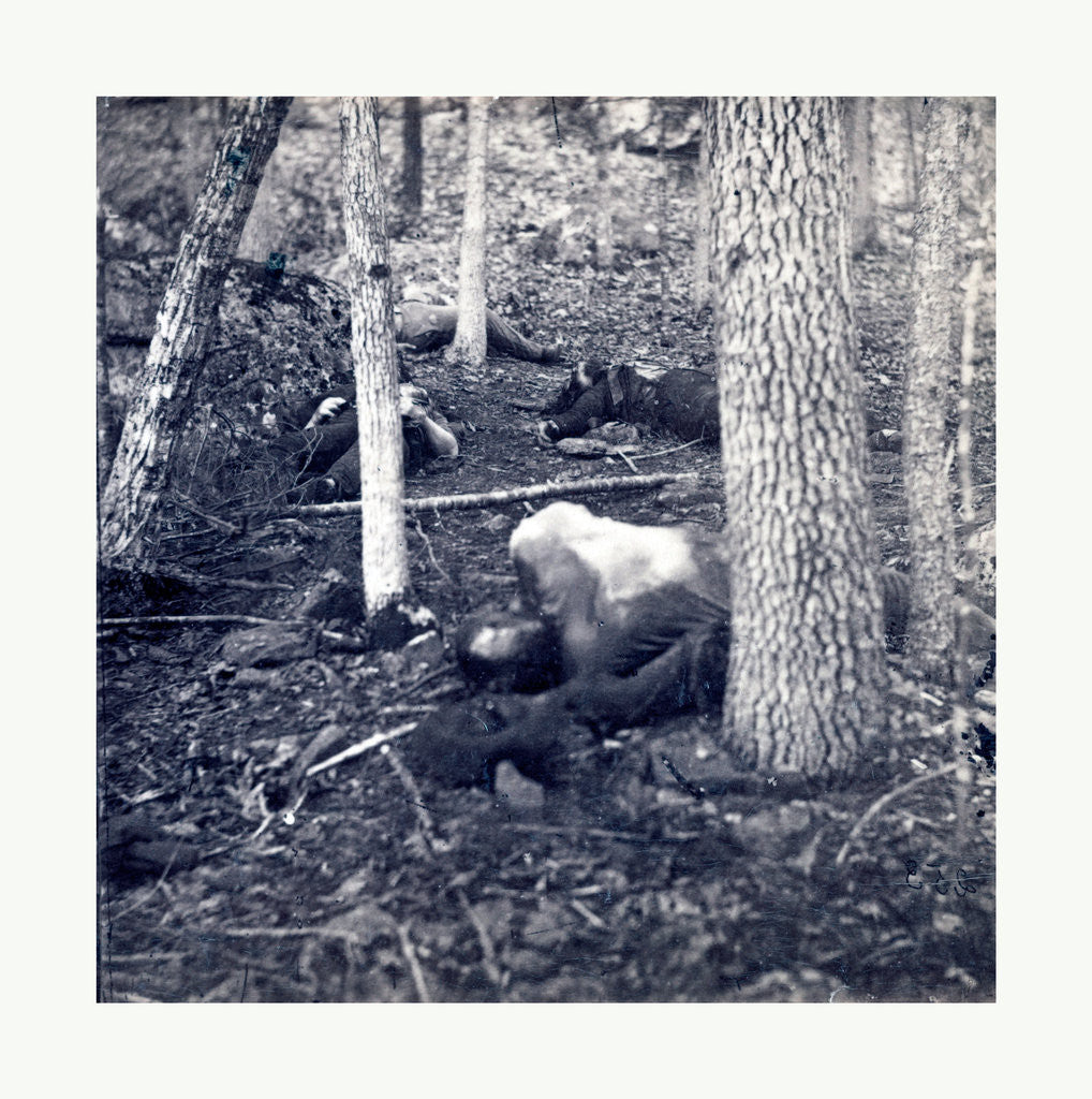 Detail of American Civil War: The Slaughter Pen at Gettysburg, Dead Soldiers in an Area Called the Slaughter Pen to the Right of the Union Line at the Foot of Round Top in Gettysburg in July of 1863 by Anonymous