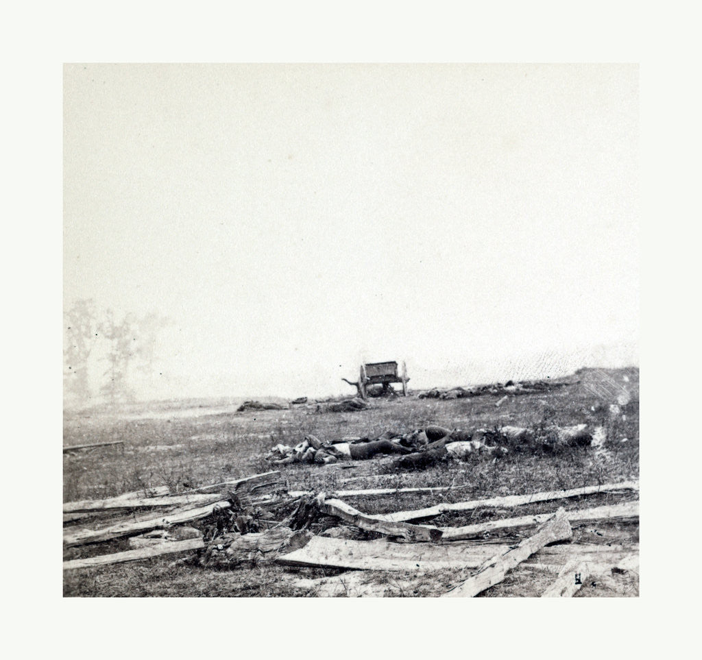 Detail of American Civil War: Where Sumner's Corps Charged at Antietam, Dead Soldiers, Horses, and Broken Gun Carriages after General Sumner's Corps Charged Over This Field on the Battlefied of Antietam on Sept. 17, 1862 by Anonymous
