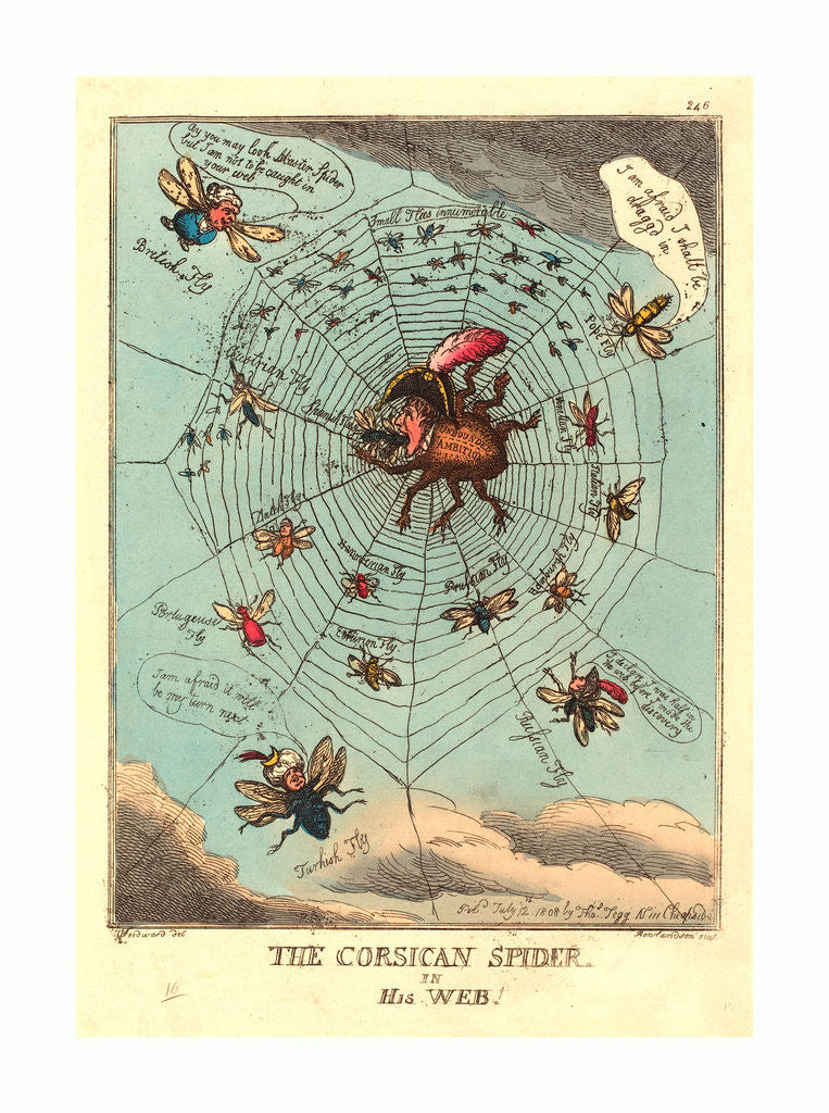 Detail of The Corsican Spider in His Web by Anonymous