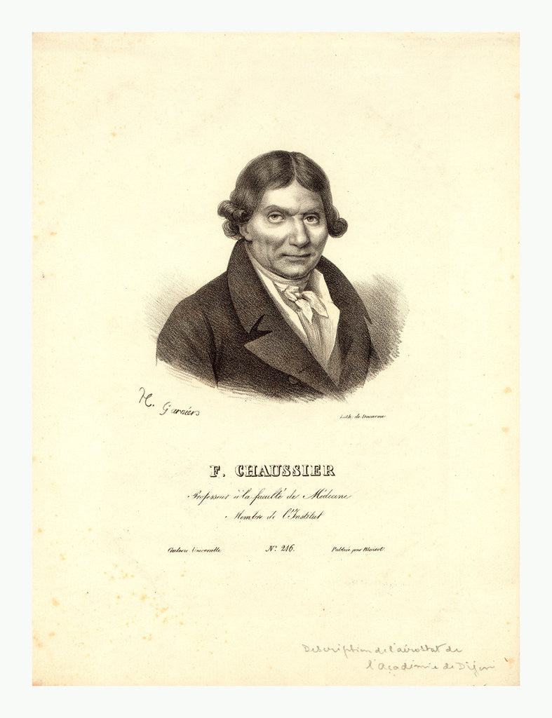 Detail of Head-and-Shoulders Profile Portrait of French Balloonist J.A.C. Charles by Anonymous