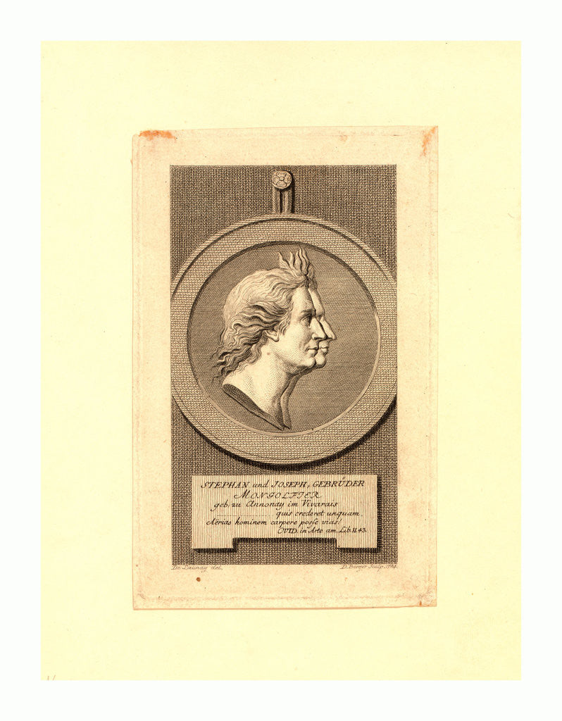 Detail of Stephan Und Joseph, Mongolfier by Anonymous