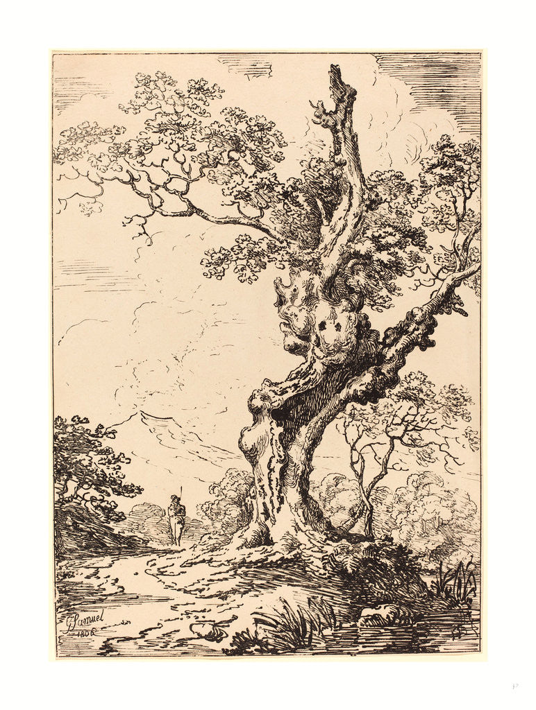 Detail of Study of an Old Oak Tree by Anonymous