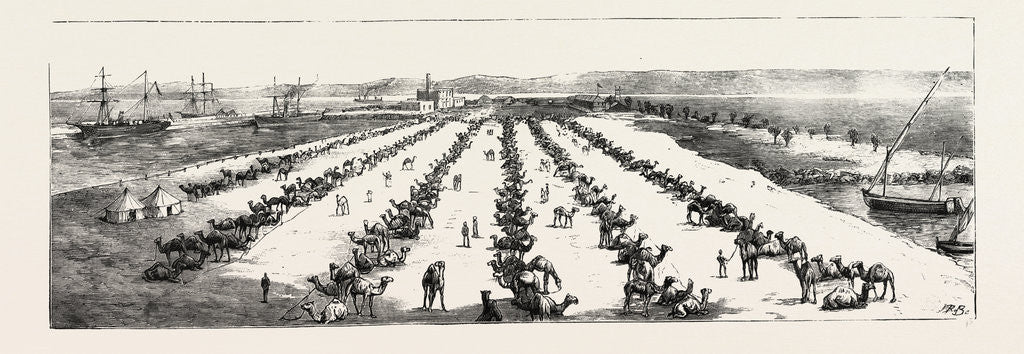 Detail of The War in the Soudan: The Camel Depot at Suez by Anonymous