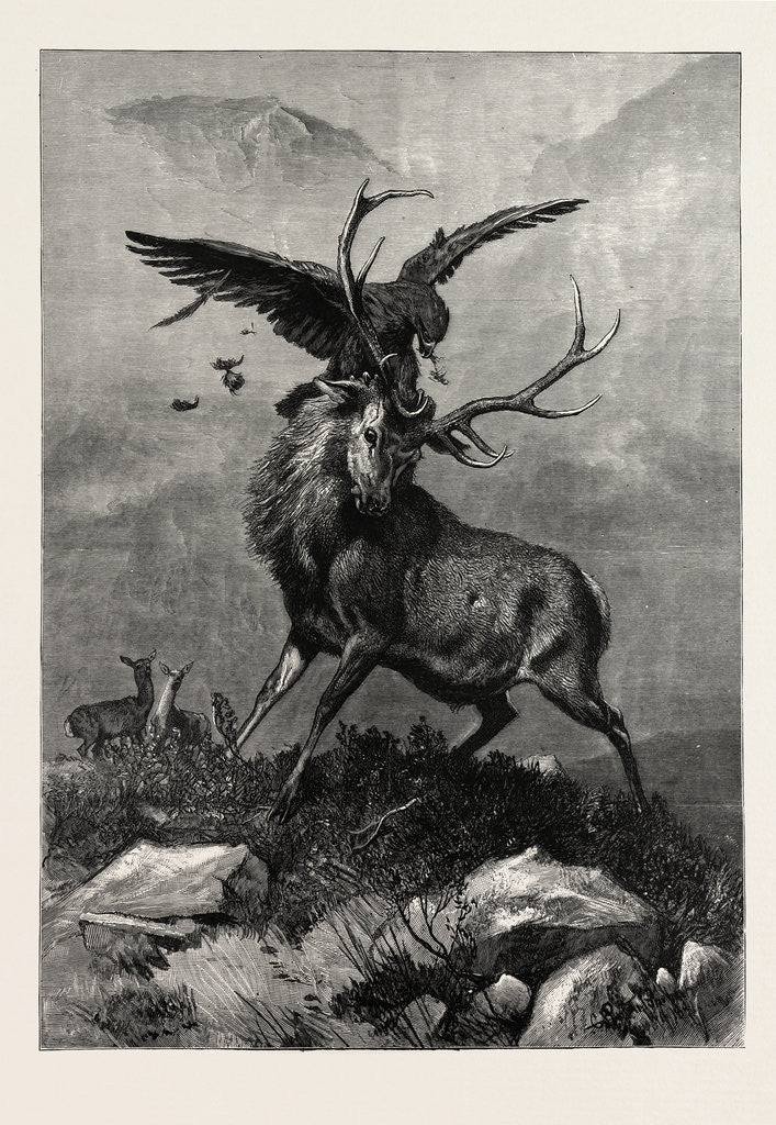 Detail of A Royal Duel Between a Stag and an Eagle by Anonymous