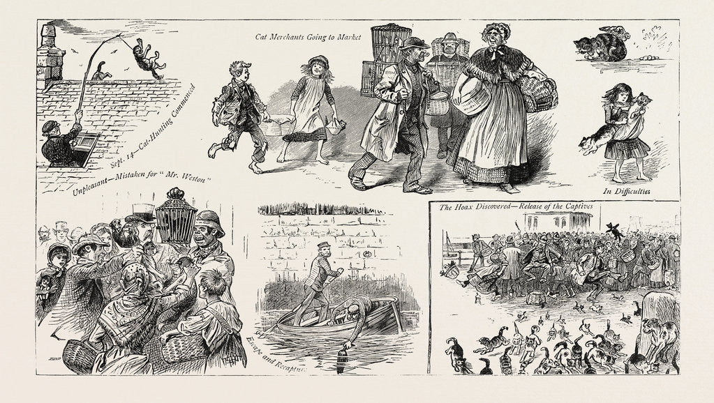 Detail of The Cat Hoax at Dublin by Anonymous
