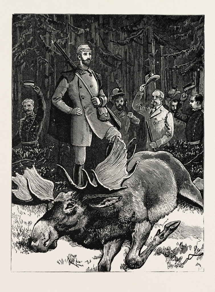 Detail of Bull Elk Killed by the Crown Prince of Sweden at Hunneberg by Anonymous