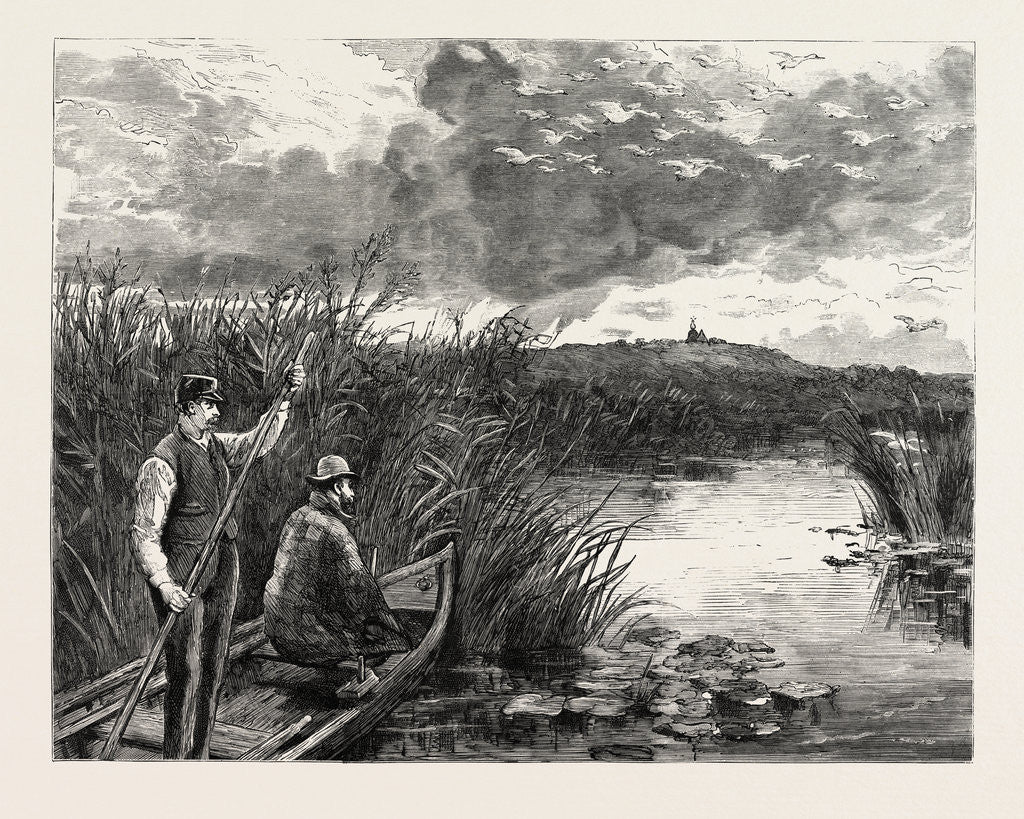 Detail of The Prince of Wales Shooting Wild Swans at Ekolsund, Sweden by Anonymous