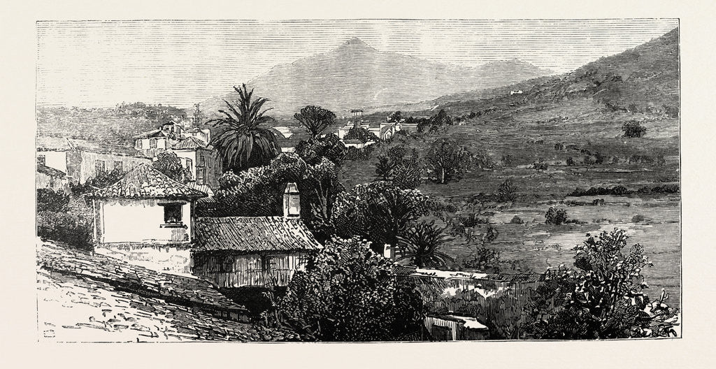 Detail of The Peak of Tenerife from Icod De Los Vinos, the Canary Islands by Anonymous