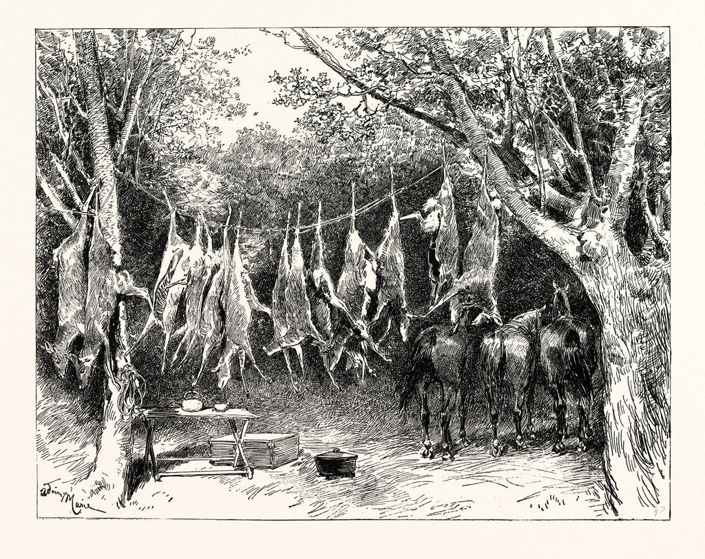 Detail of A Buck-Hunting Excursion in South Africa: Our Larder and Stable by Anonymous