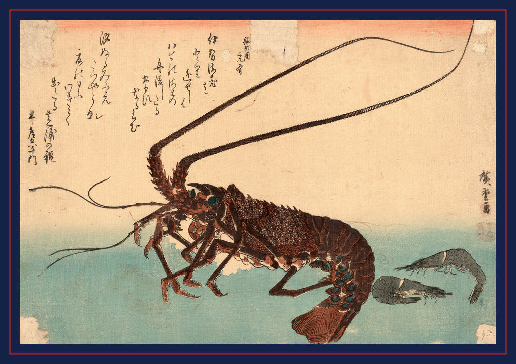 Detail of Ise Ebi to Shiba Ebi, Shrimp and Lobster by Anonymous