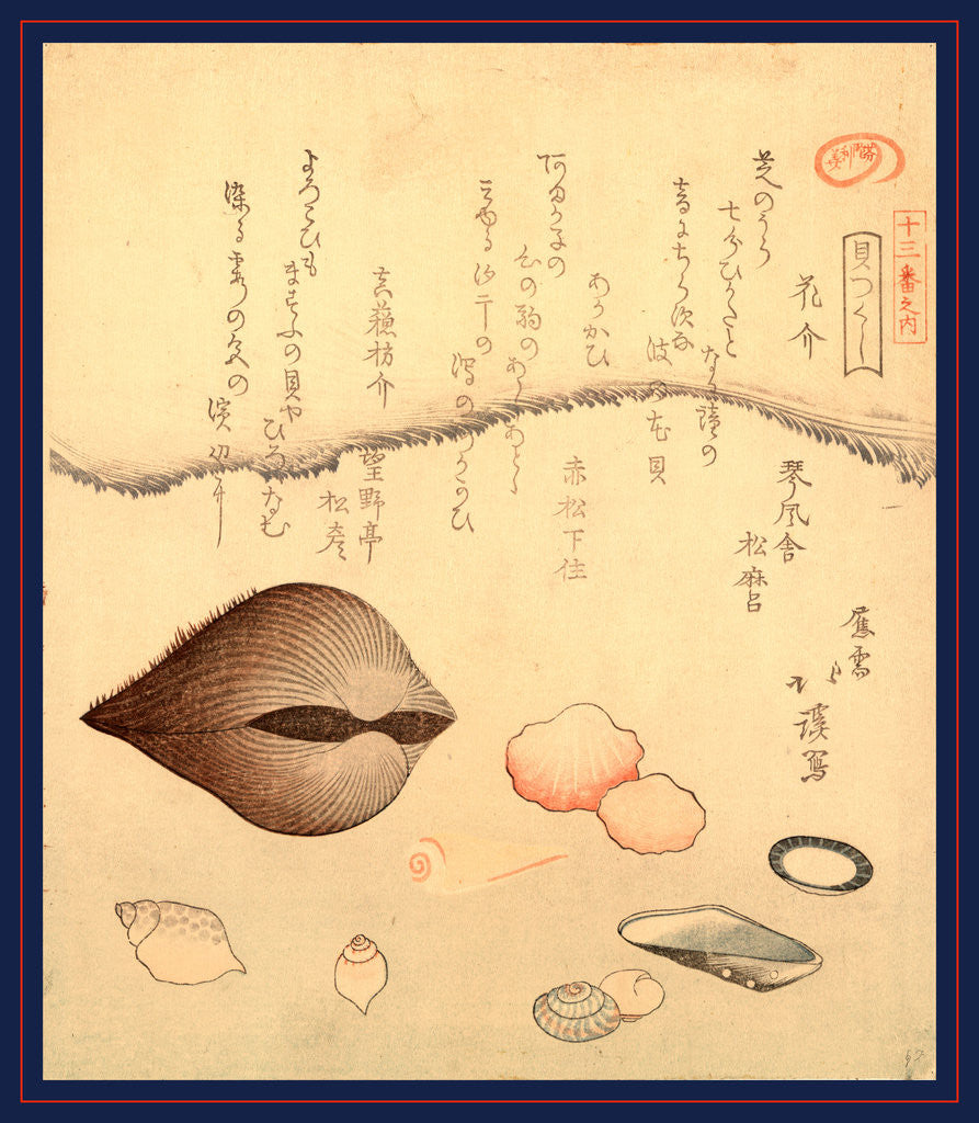 Detail of Hana Gai Aragai Masuo Gai, Aragai Hokkei, 1780-1850, by Anonymous