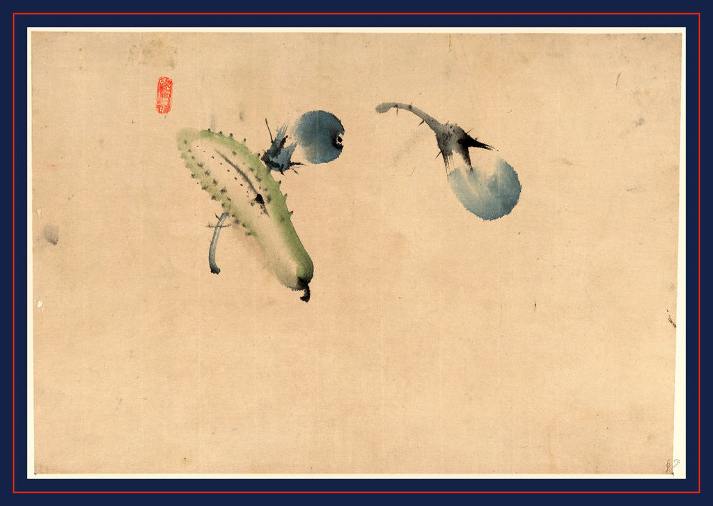 Detail of Cucumber or Squash and Eggplant by Anonymous