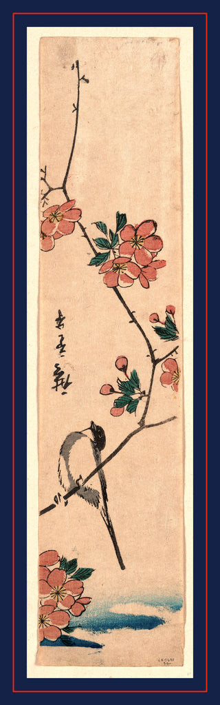 Detail of Kaido Ni Shokin, Small Bird on a Branch of Kaidozakura by Anonymous