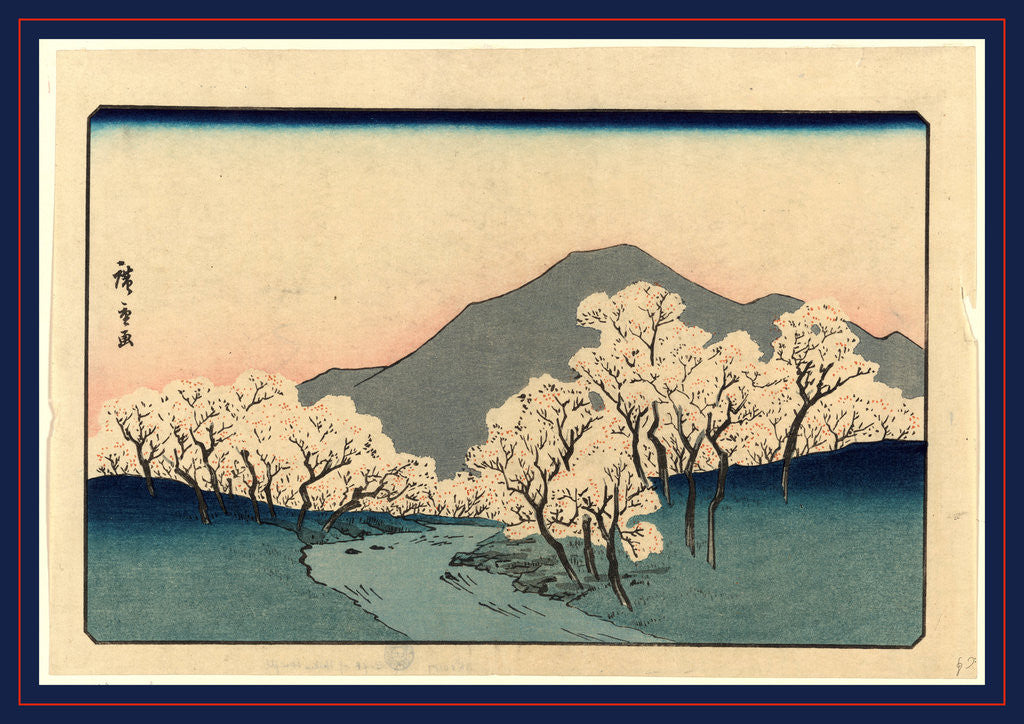 Detail of Grove of Blossoming Cherry Trees with Mountain in the Background. by Anonymous