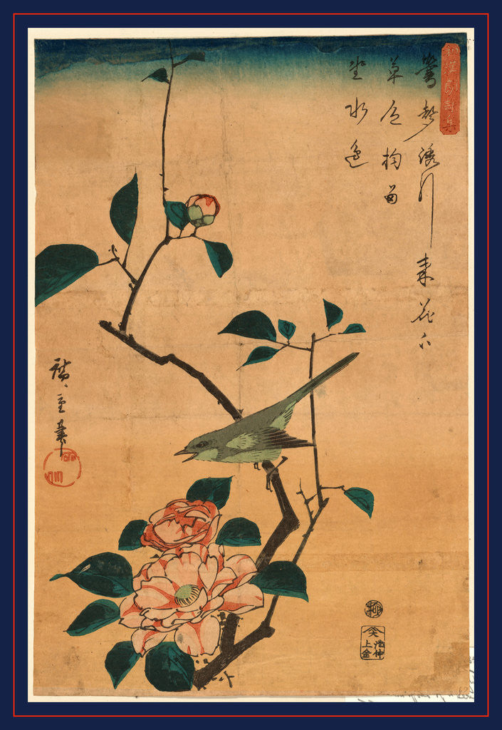 Detail of Tsubaki ni uguisu, Camellia and Bush Warbler by Ando Hiroshige