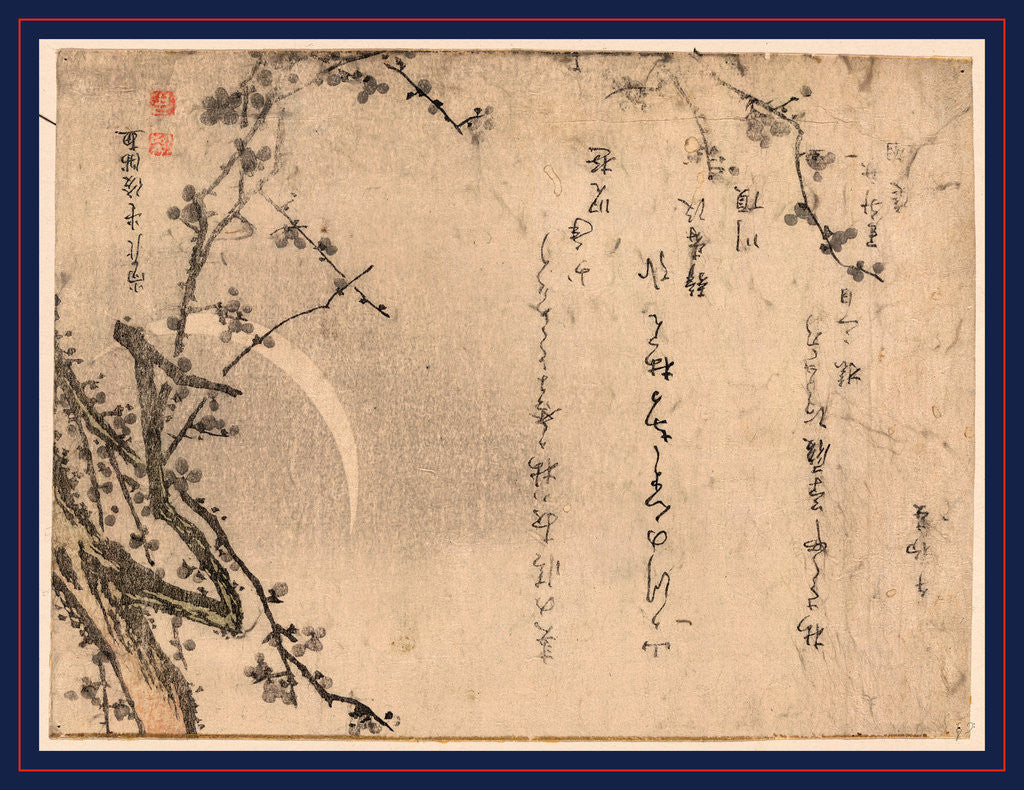 Detail of Plum Blossoms on Tree Branches with the Moon in the Background by Anonymous