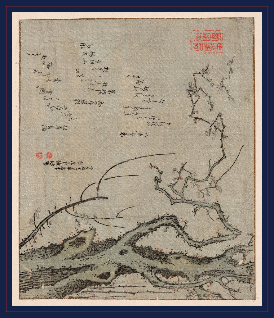 Detail of Blossoms on a Plum Tree by Anonymous