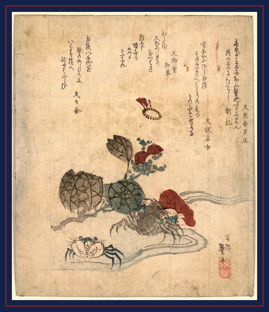 Detail of Benkeigani to tsubaki, Benkei crab and camellia by Katsushika Taito II
