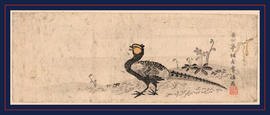 Detail of Kiji, Pheasant by Anonymous