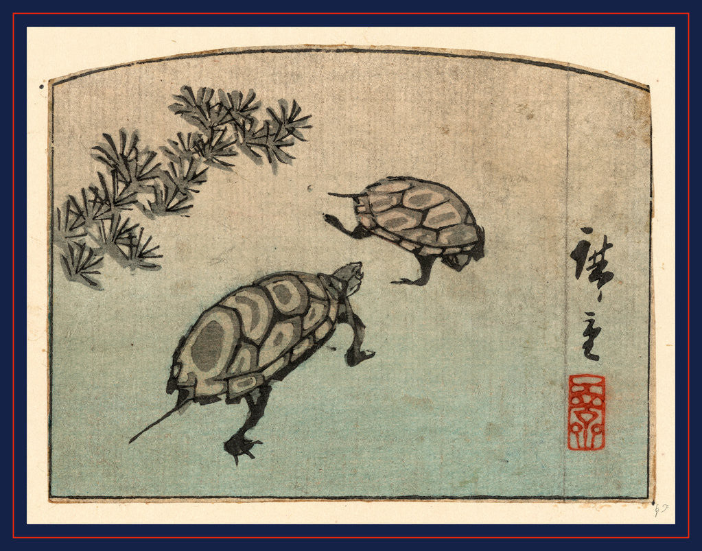 Detail of Kame, Turtles by Ando Hiroshige