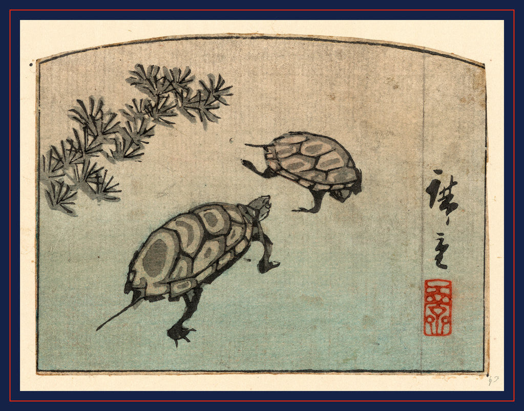 Detail of Two Turtles by Anonymous