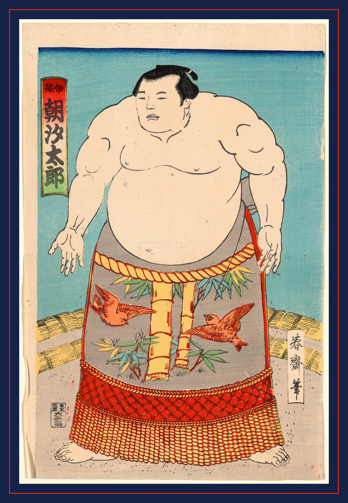 Detail of Asashio Taro, a Sumo Wrestler by Anonymous