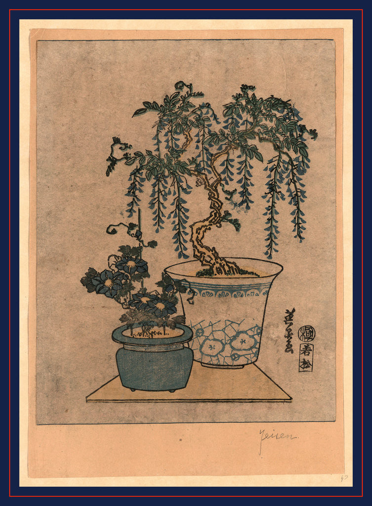 Detail of Two Flower Pots, One with Wisteria and the Other is a Small Flower with Pink Blossoms by Anonymous