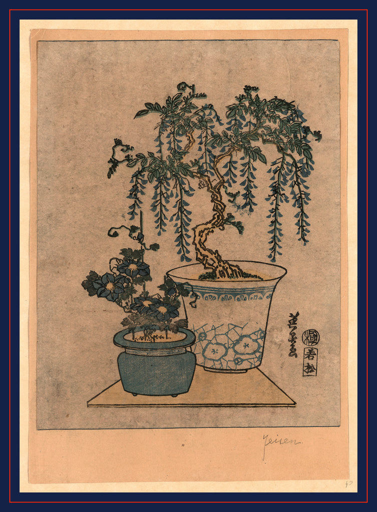Detail of Fuji no hachiue, Potted wisteria by Ikeda Eisen
