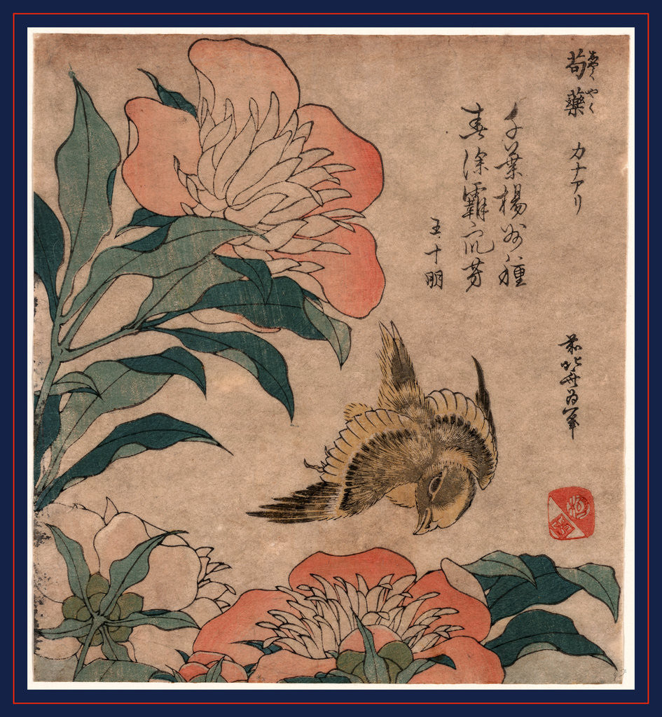 Detail of Shakuyaku Kana Ari, Peony and Canary by Anonymous