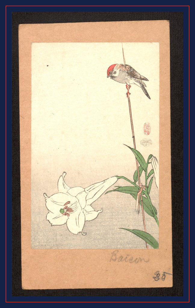 Detail of Yuri ni shokin, Small bird on lily plant by Baison