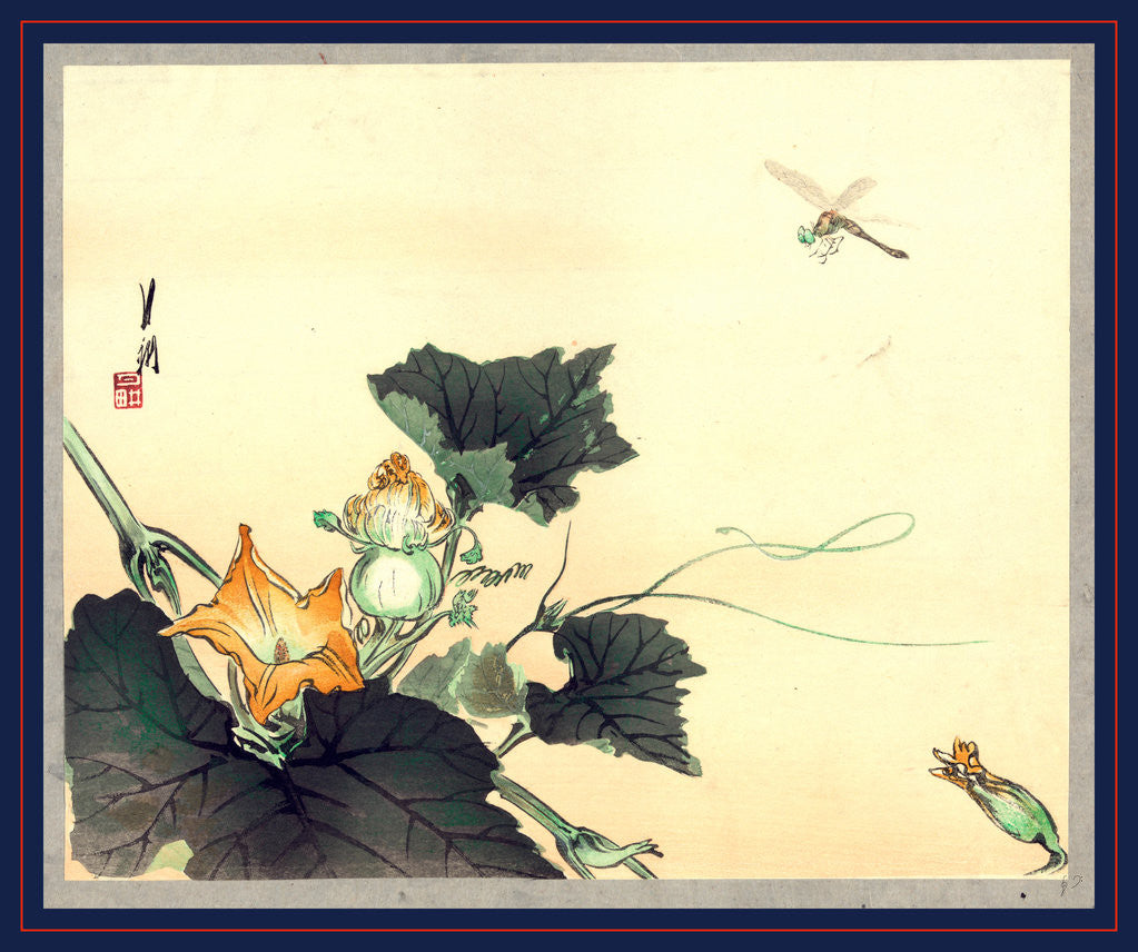 Detail of Kabocha ni tonbou, Dragonfly and pumpkin by Ogata Gekko