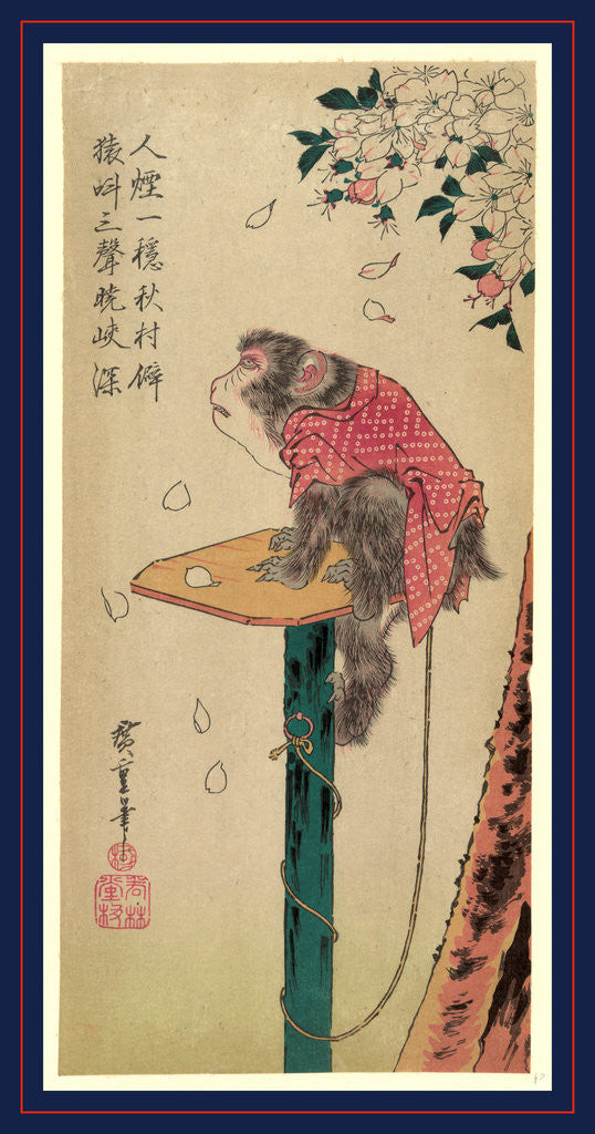 Detail of Sakura ni tsunagizaru, Monkey on a leash and cherry blossoms by Ando Hiroshige