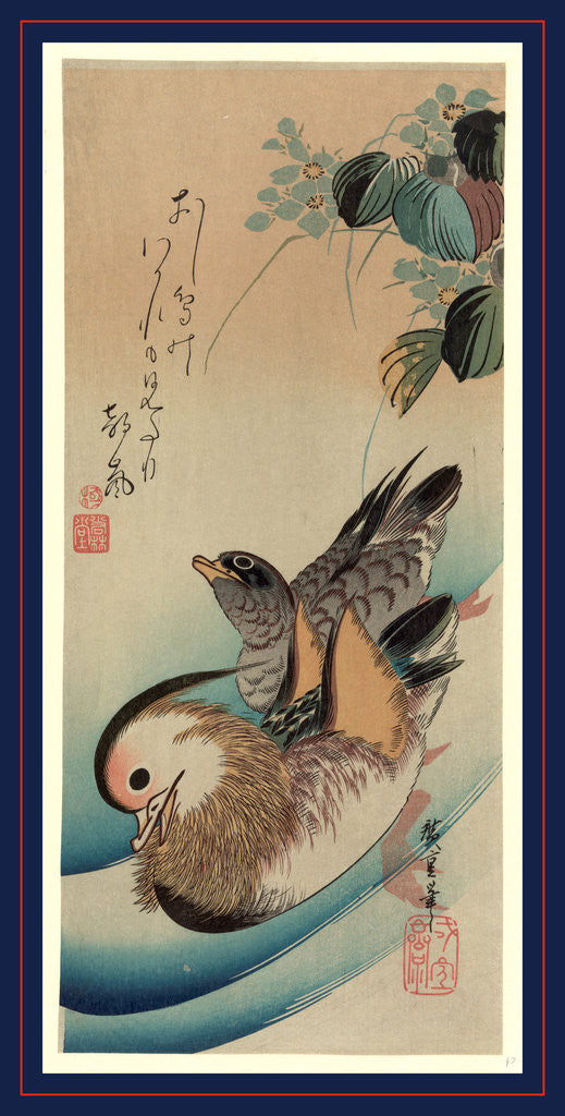 Detail of Oshidori, Mandarin ducks by Ando Hiroshige