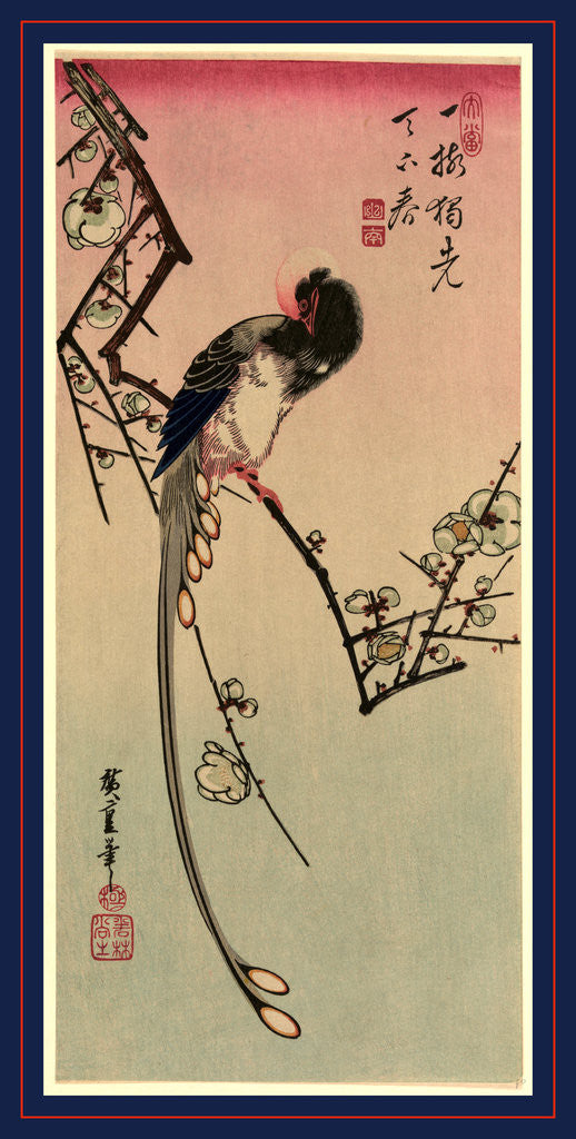 Detail of Magpie Perched on a Branch with Plum Blossoms. by Anonymous