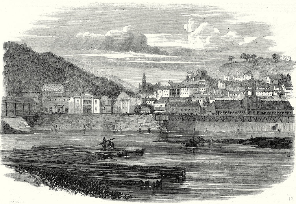Detail of The Civil War in America: Harper's Ferry Virginia 22 June 1861 by Anonymous