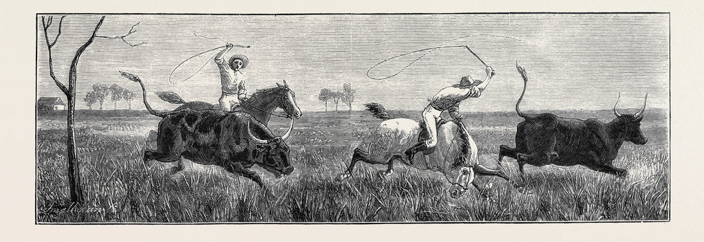 Detail of Queensland: Cutting Out a Fat Beast by Anonymous