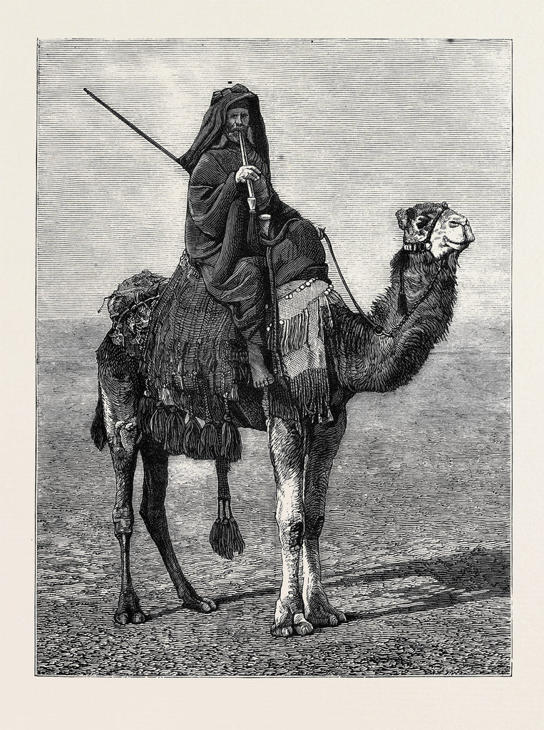 Detail of Egypt: A Travelling Bedouin by Anonymous