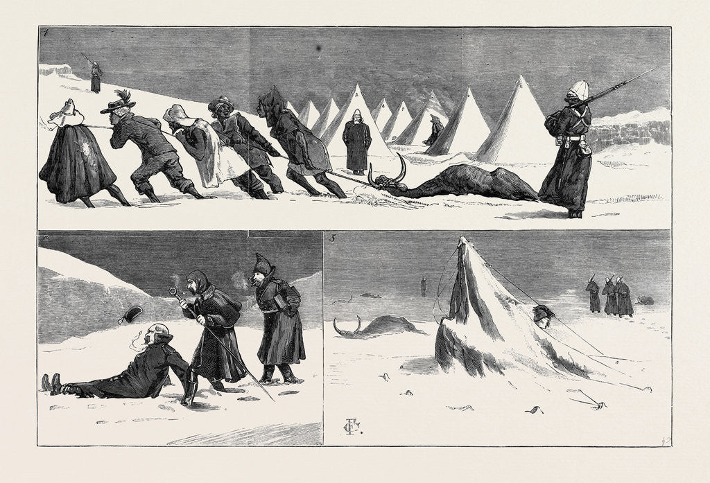 Detail of Afric's Sunny Clime; after a Snowstorm in Natal by Anonymous