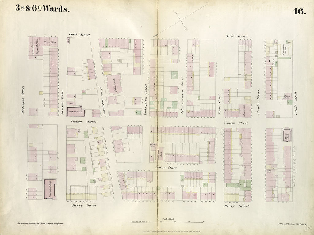Detail of Map bounded by Montague Street, Court Street, Atlantic Street, Henry Street. 1855 by Anonymous