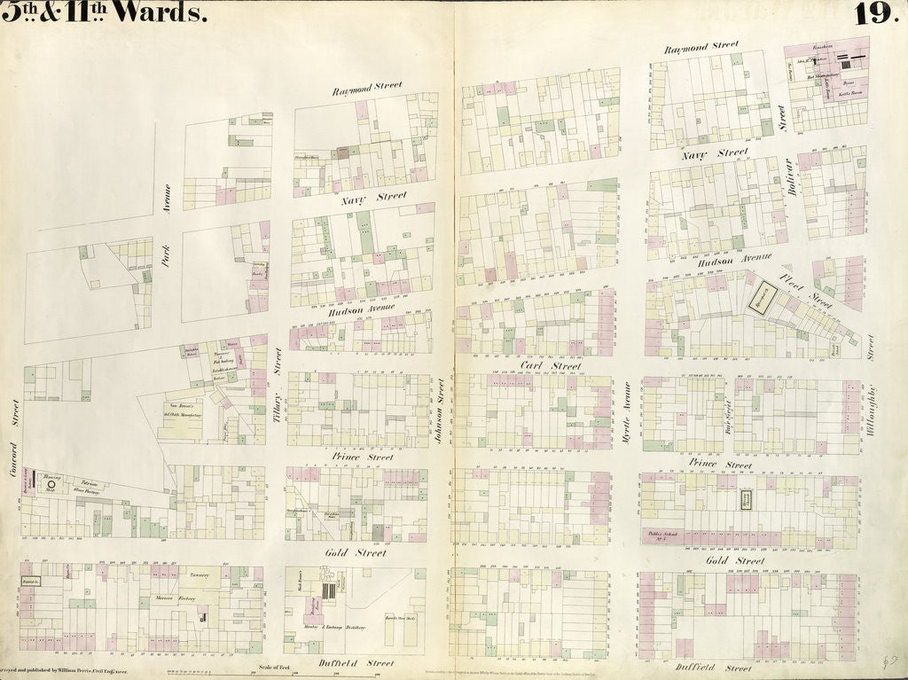 Detail of Map bounded by Concord Street, Navy Street, Park Avenue, Raymond Street, Willoughby Street, Duffield Street. 1855 by Anonymous
