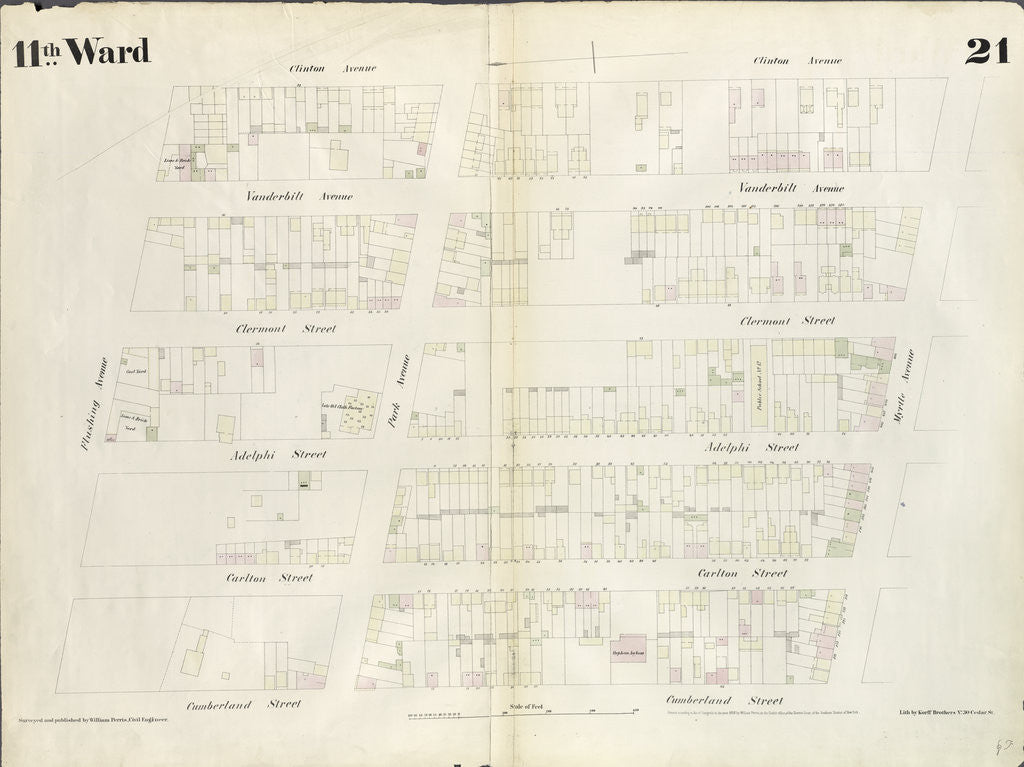 Detail of Map bounded by Flushing Avenue, Clinton Avenue, Myrtle Avenue, Cumberland Street. 1855 by Anonymous
