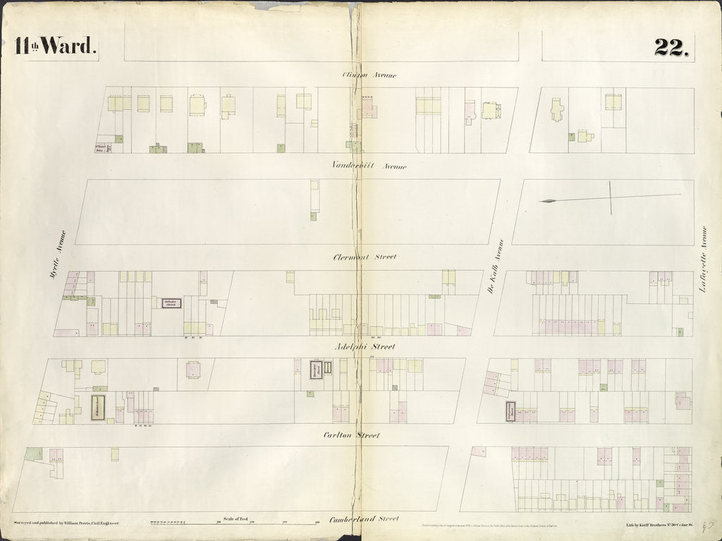 Detail of Map bounded by Myrtle Avenue, Clinton Street, Lafayette Avenue, Cumberland Street. 1855 by Anonymous